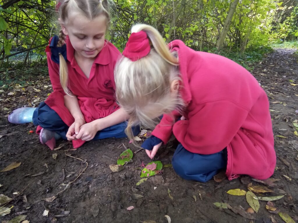 Good to be backasaurus!, Copthill School