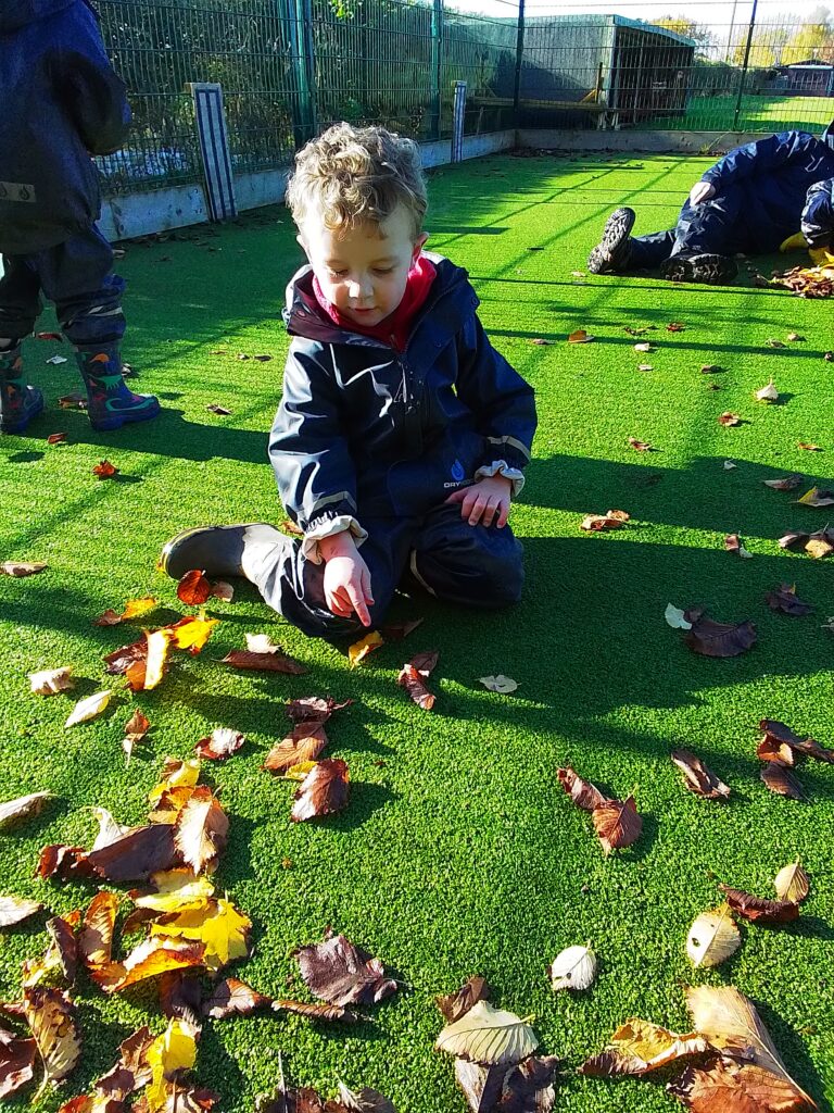 Diwali and Remembrance Day, Copthill School