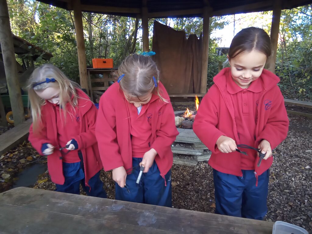 Stop, drop and roll!, Copthill School