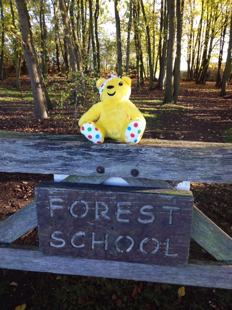 Children In Need, Copthill School