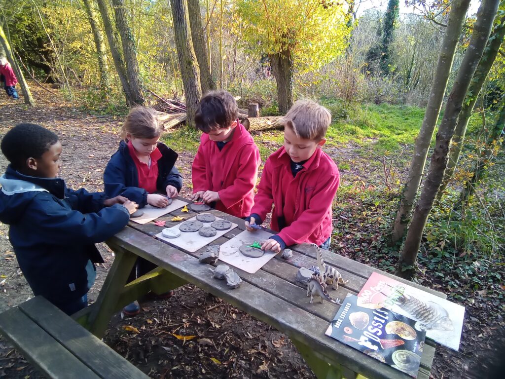 Shape up!, Copthill School