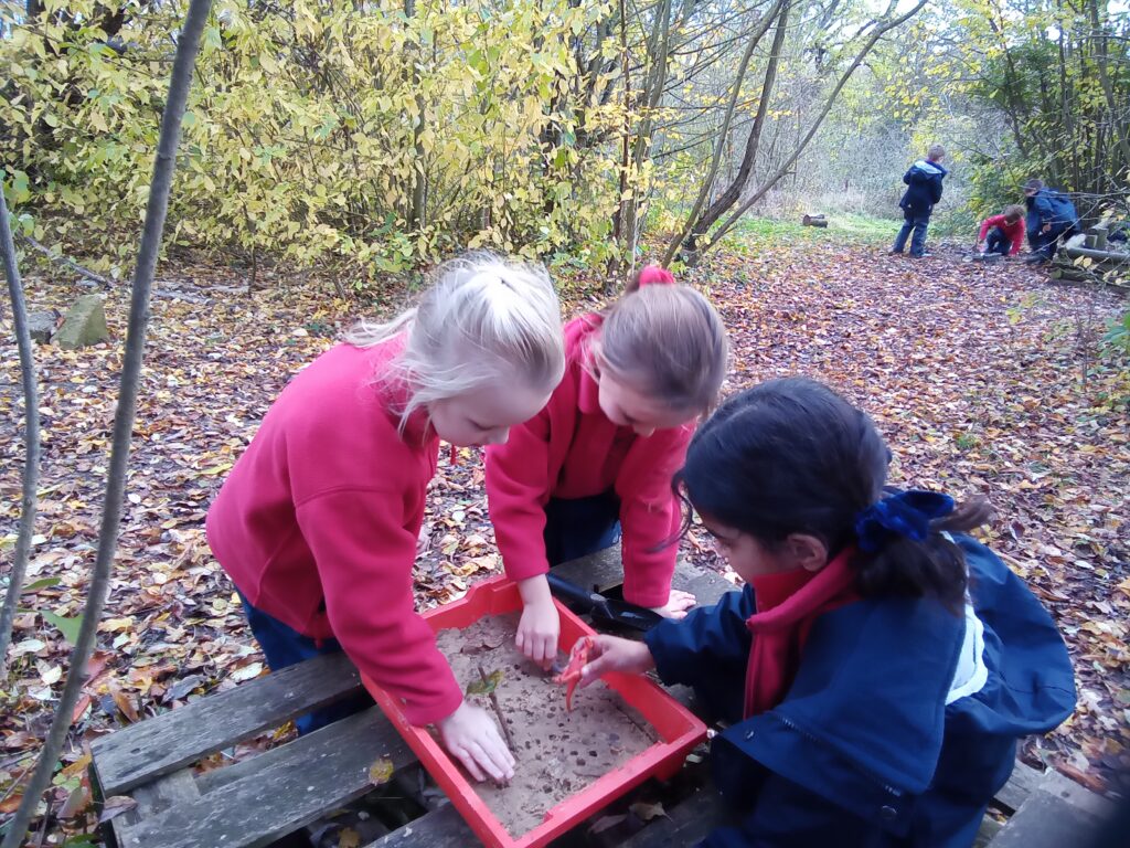 Shape up!, Copthill School