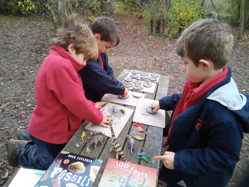 Shape up!, Copthill School