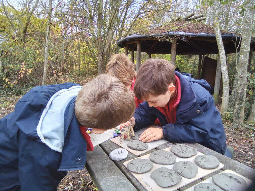 Shape up!, Copthill School