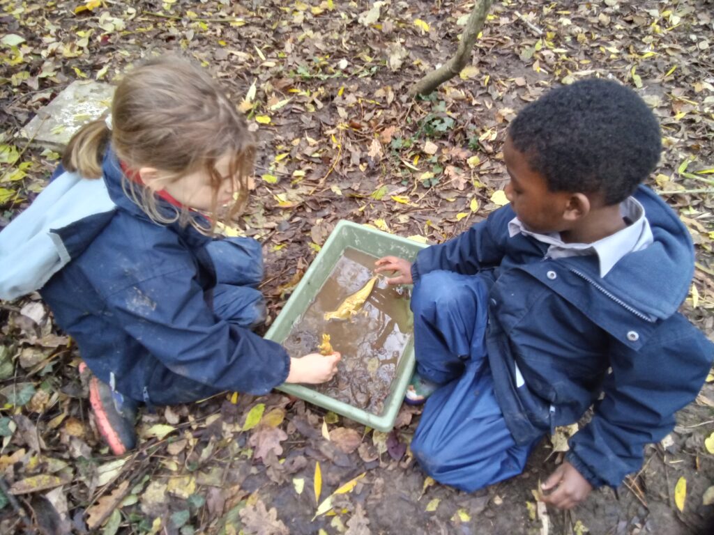 Shape up!, Copthill School