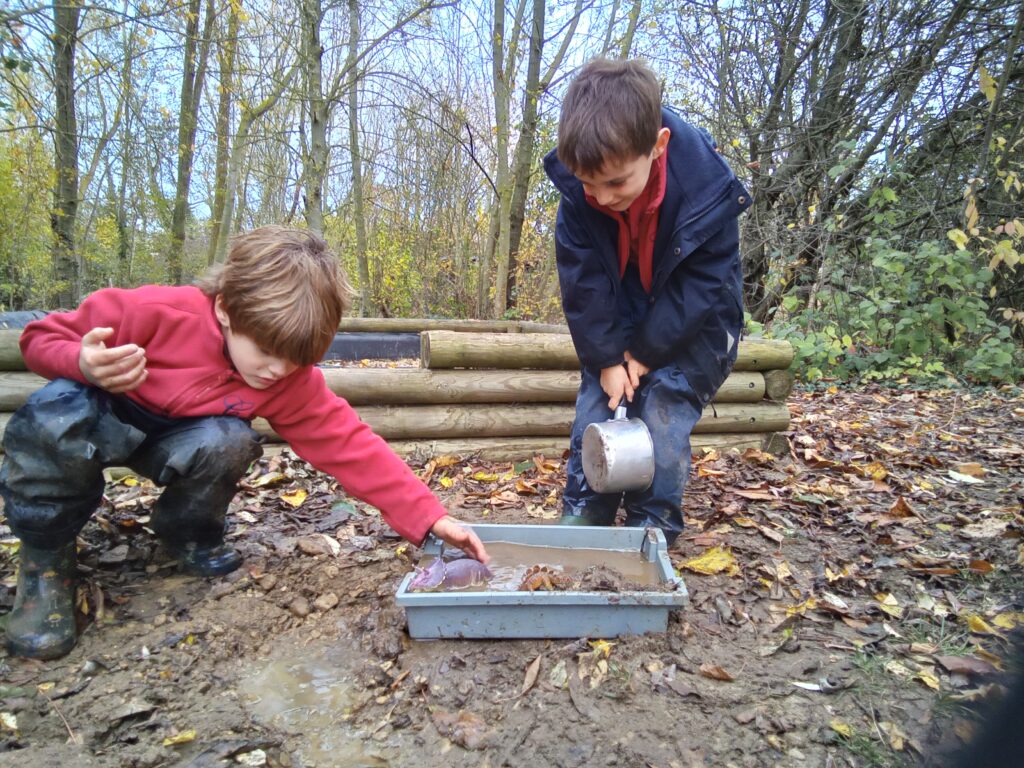 Shape up!, Copthill School