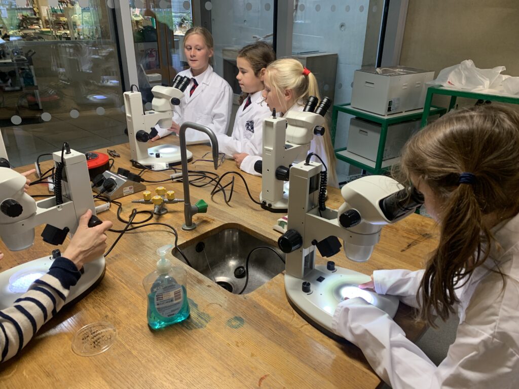 Scientists of the future, Copthill School