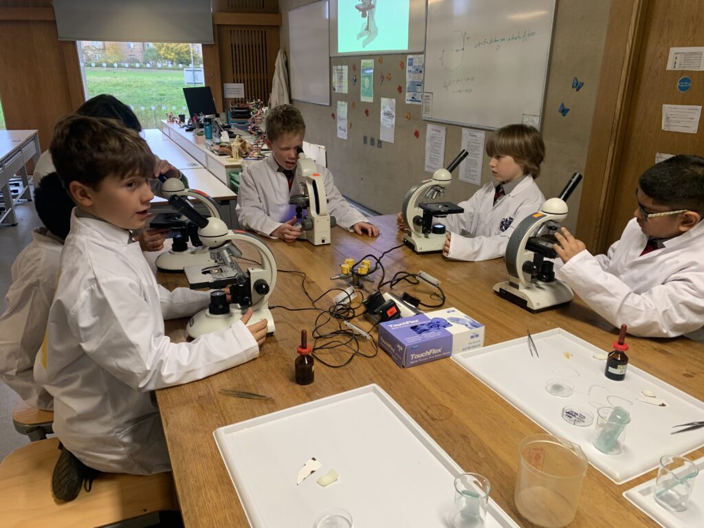 Scientists of the future, Copthill School