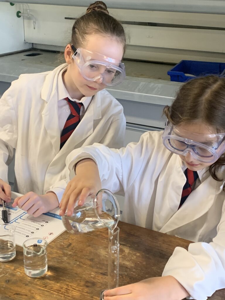 Scientists of the future, Copthill School