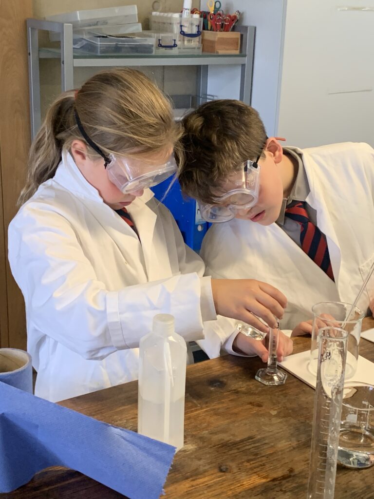 Scientists of the future, Copthill School