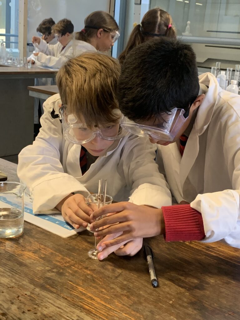 Scientists of the future, Copthill School