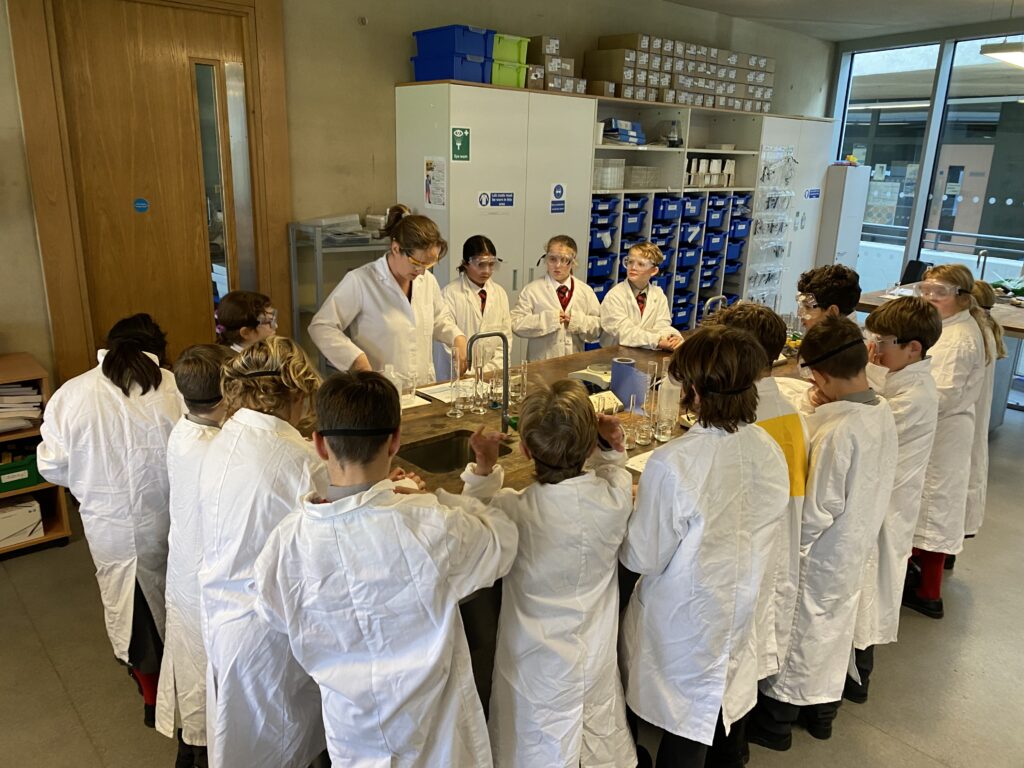 Scientists of the future, Copthill School