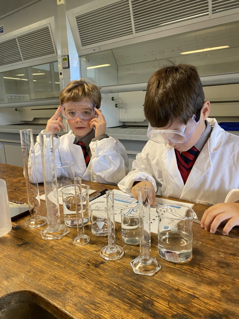 Scientists of the future, Copthill School