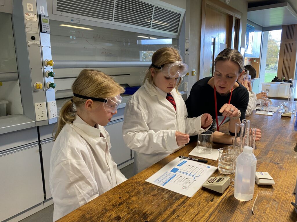 Scientists of the future, Copthill School