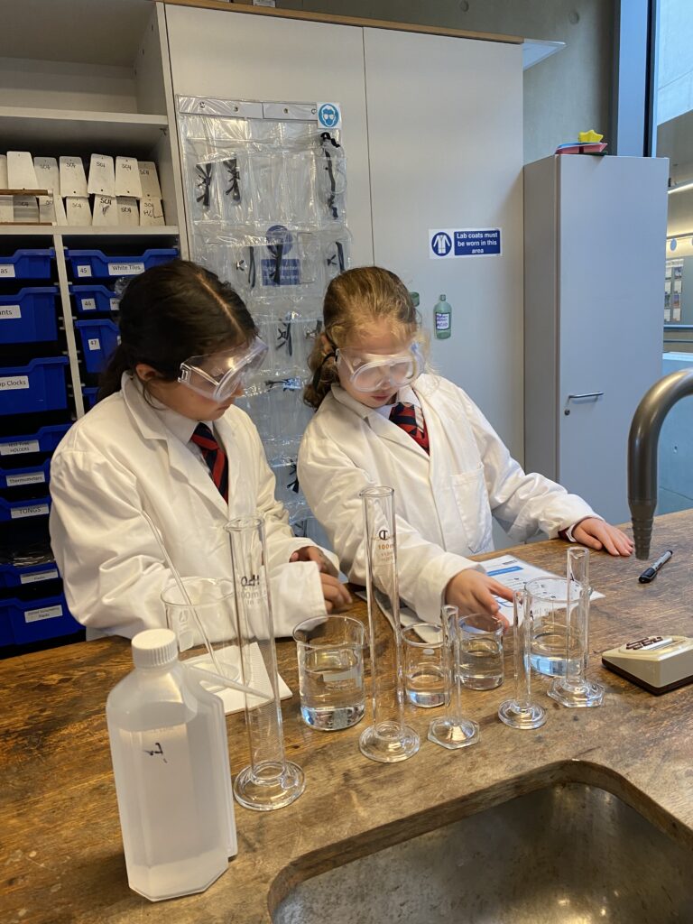 Scientists of the future, Copthill School