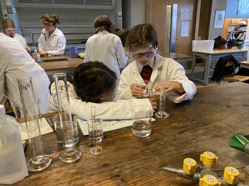 Scientists of the future, Copthill School