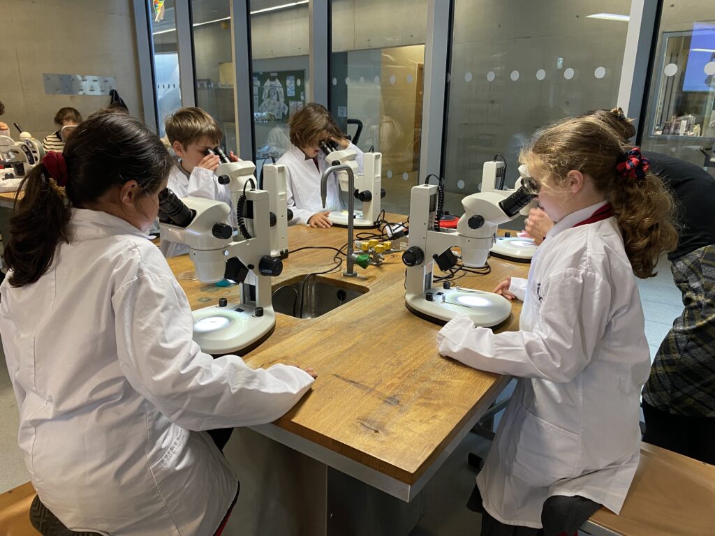 Scientists of the future, Copthill School