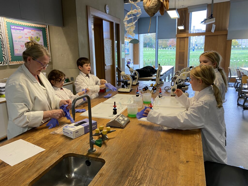 Scientists of the future, Copthill School