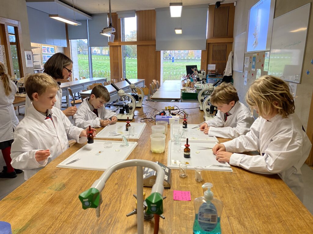 Scientists of the future, Copthill School