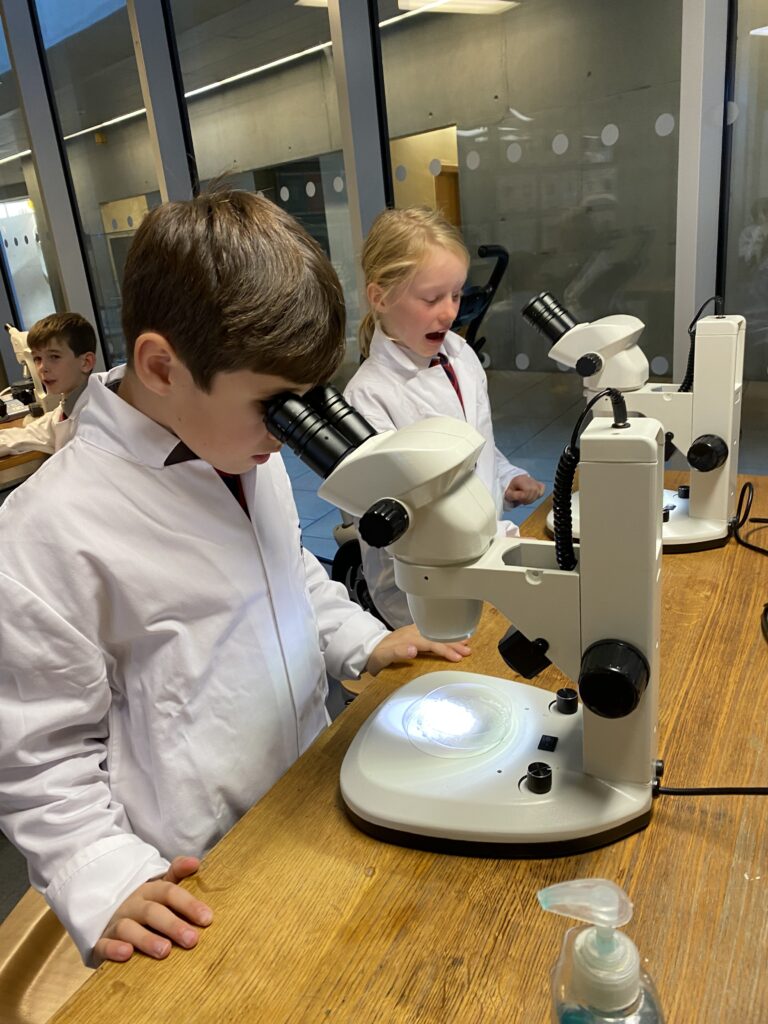 Scientists of the future, Copthill School