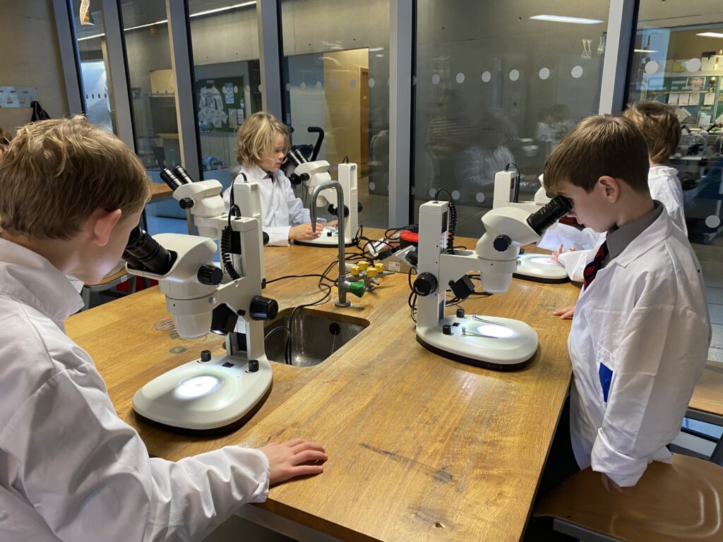 Scientists of the future, Copthill School