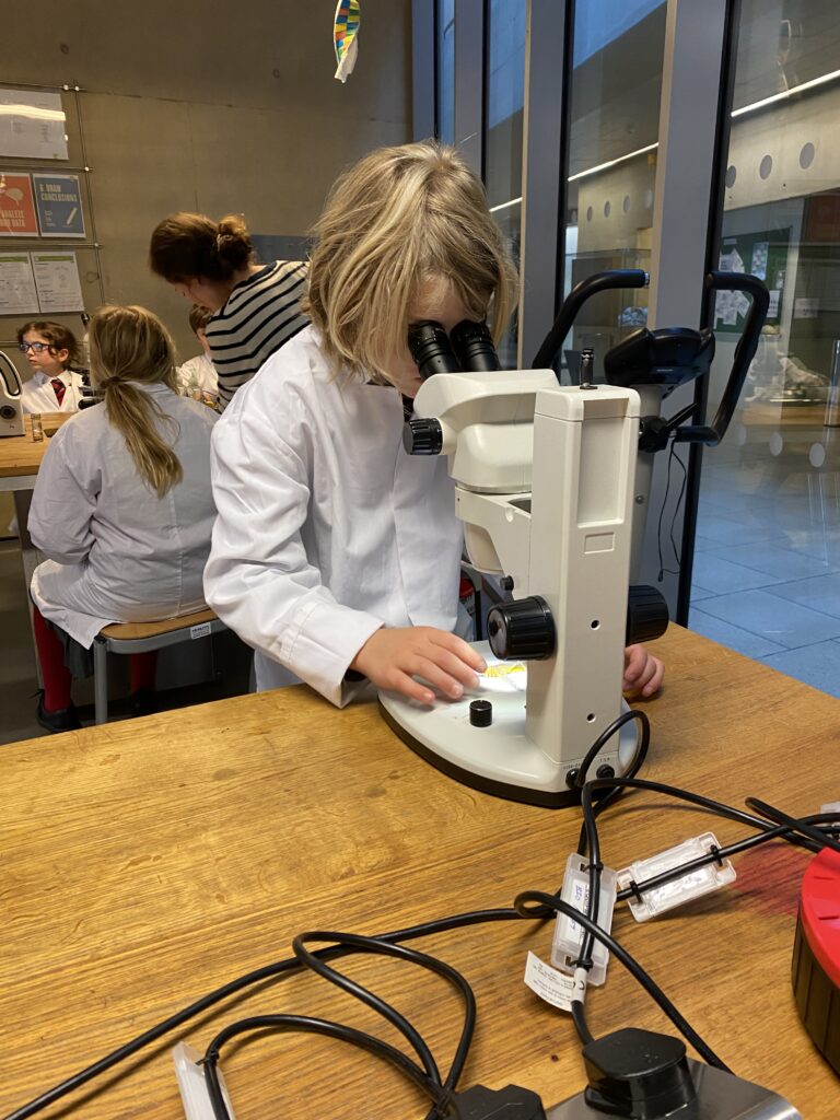 Scientists of the future, Copthill School