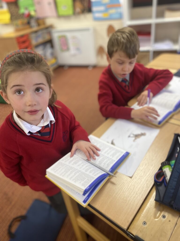 Stop, drop and roll!, Copthill School