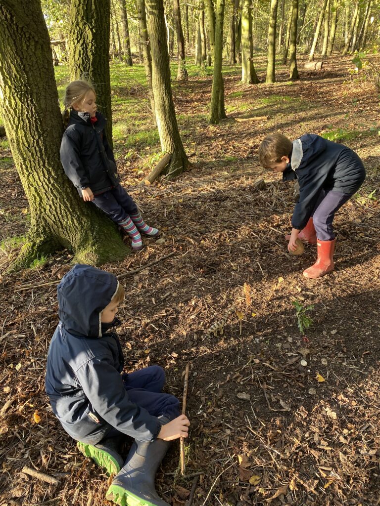 Dinosaur Stomp, Copthill School