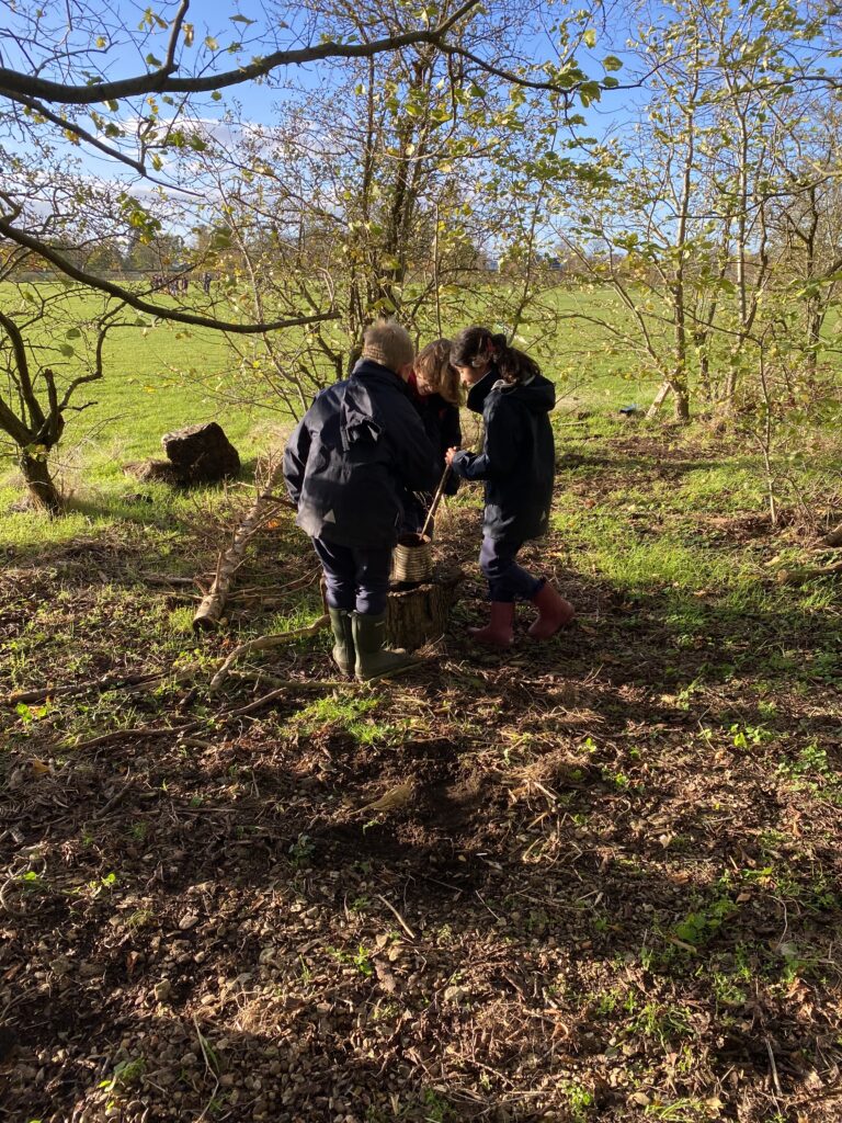 Dinosaur Stomp, Copthill School