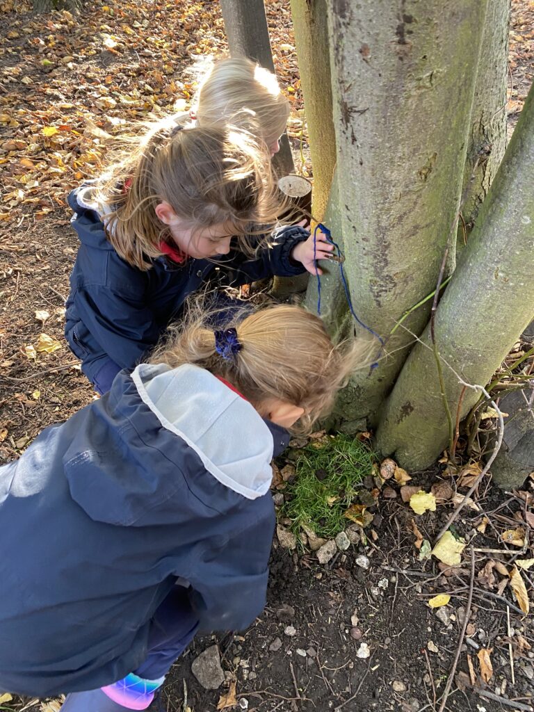 Dinosaur Stomp, Copthill School