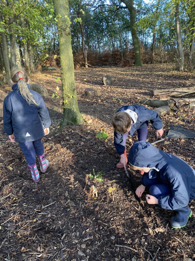 Dinosaur Stomp, Copthill School