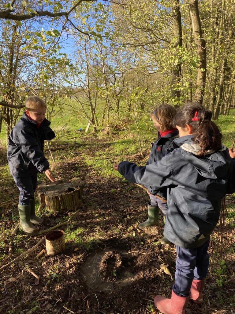 Dinosaur Stomp, Copthill School