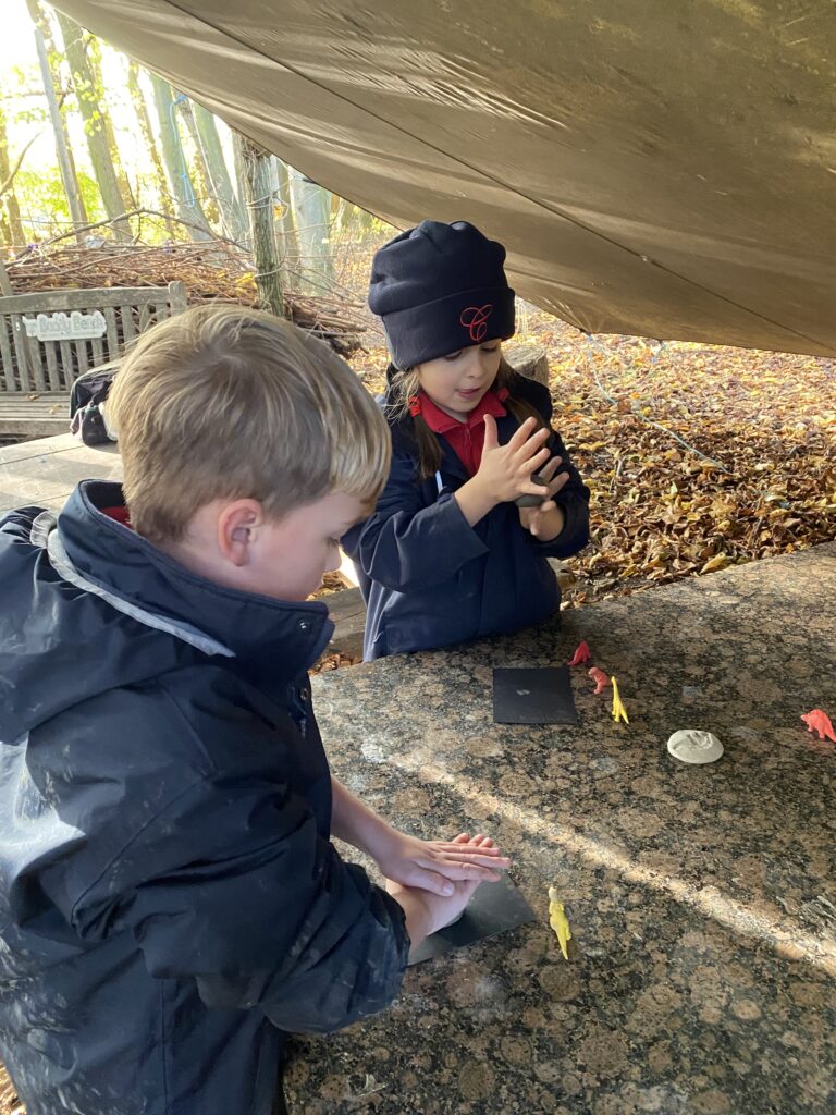 Dinosaur Stomp, Copthill School