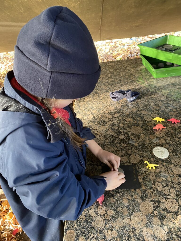 Dinosaur Stomp, Copthill School