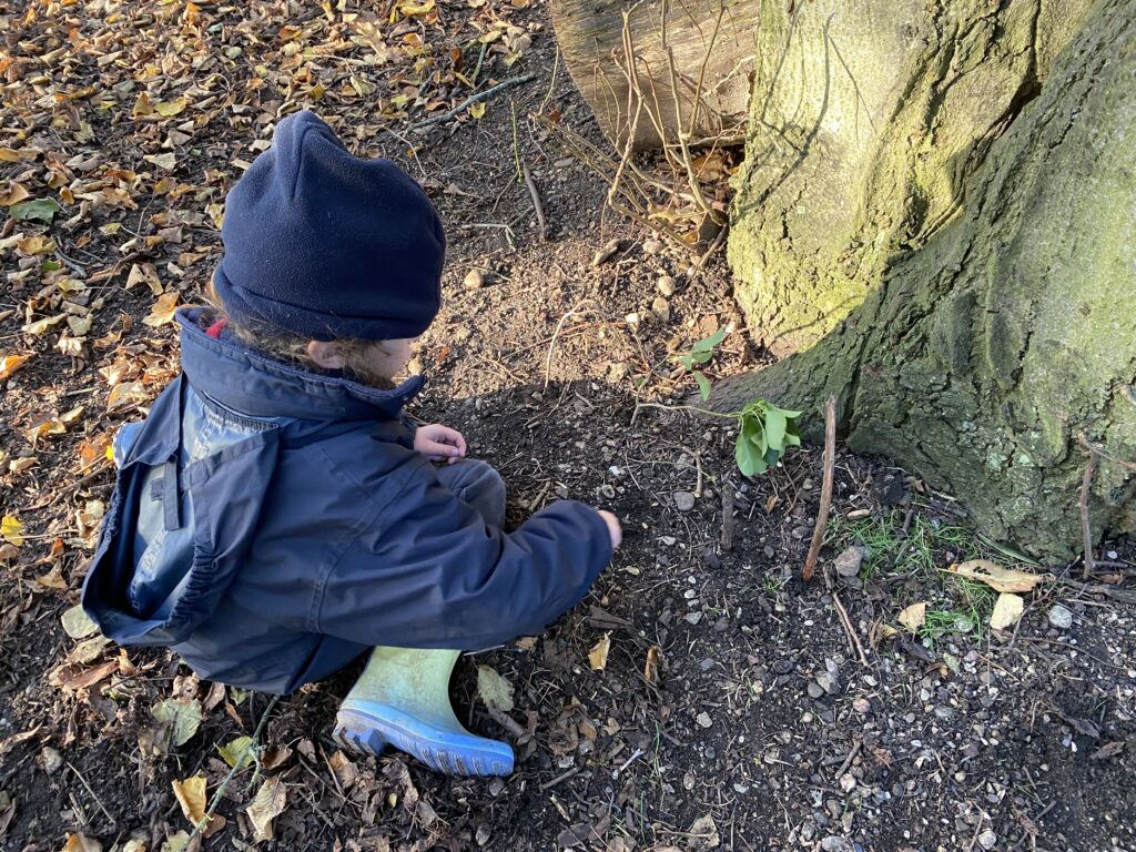 Dinosaur Stomp, Copthill School