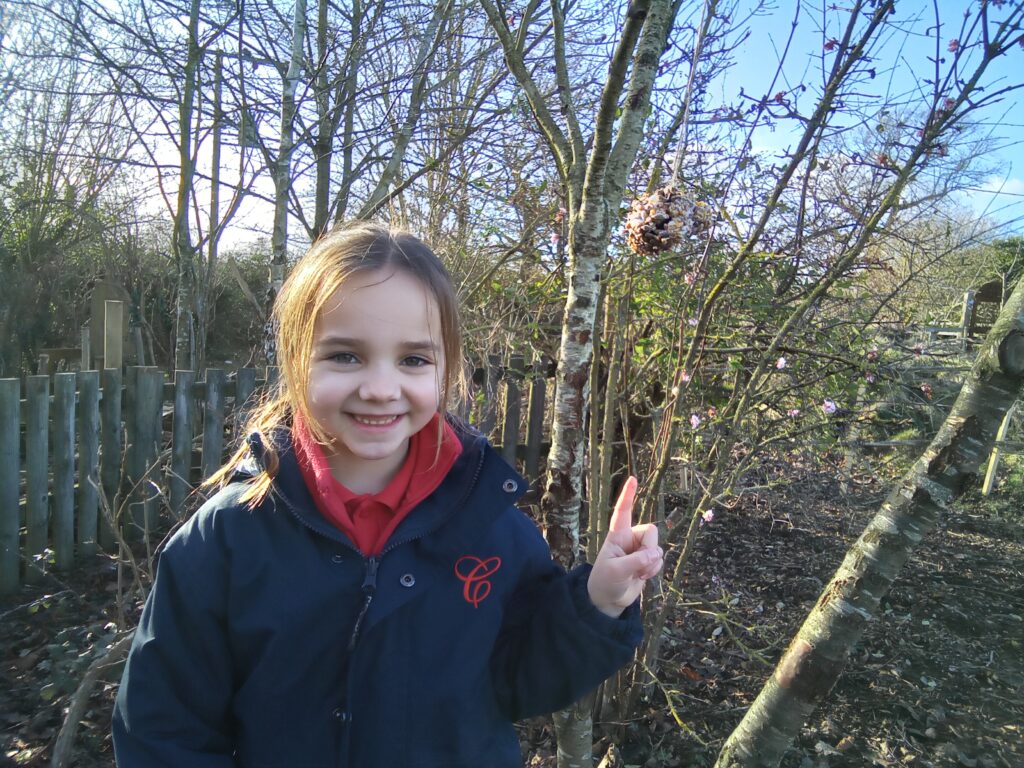 Brushing shoulders with the stars&#8230;, Copthill School