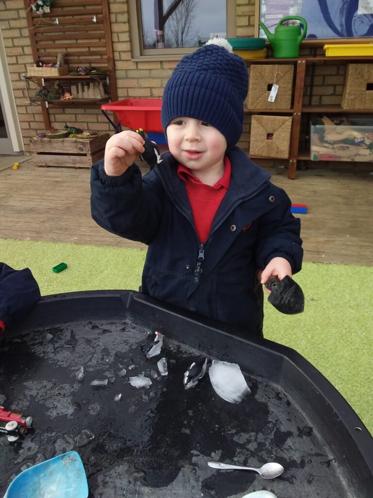 Animals from the Antartic, Copthill School