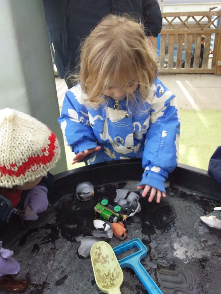 Animals from the Antartic, Copthill School