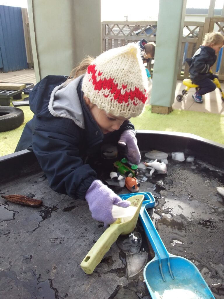 Animals from the Antartic, Copthill School