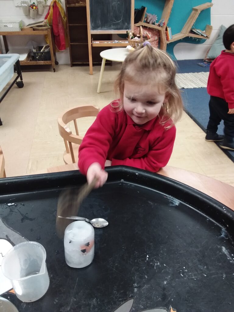 Animals from the Antartic, Copthill School