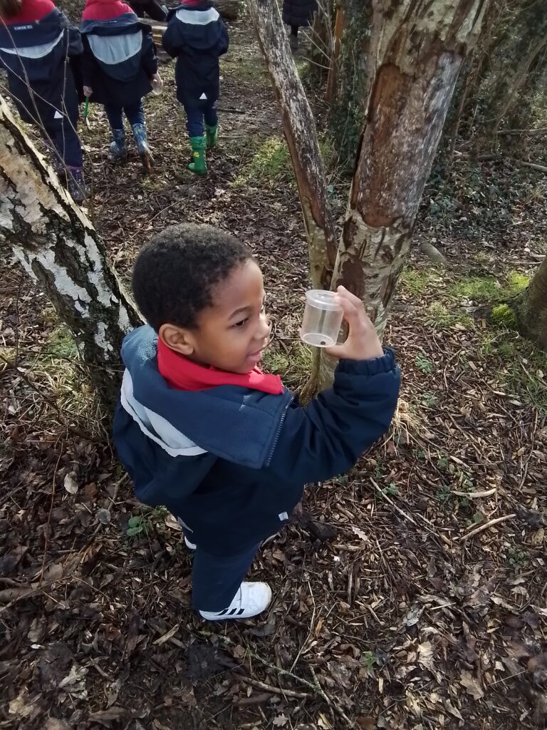 Snails, Slugs and Sunshine!, Copthill School