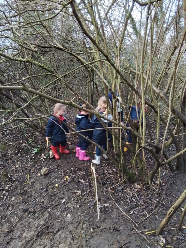 Snails, Slugs and Sunshine!, Copthill School