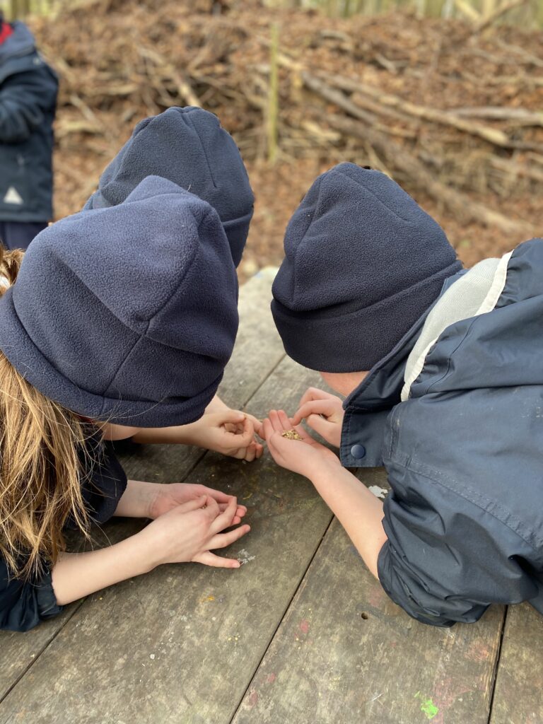 Brushing shoulders with the stars&#8230;, Copthill School