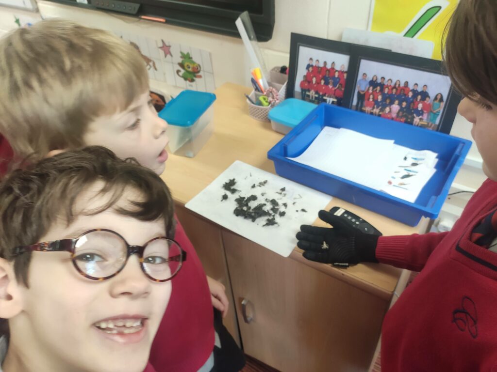 Year 3 &#8211; Week 3, Copthill School