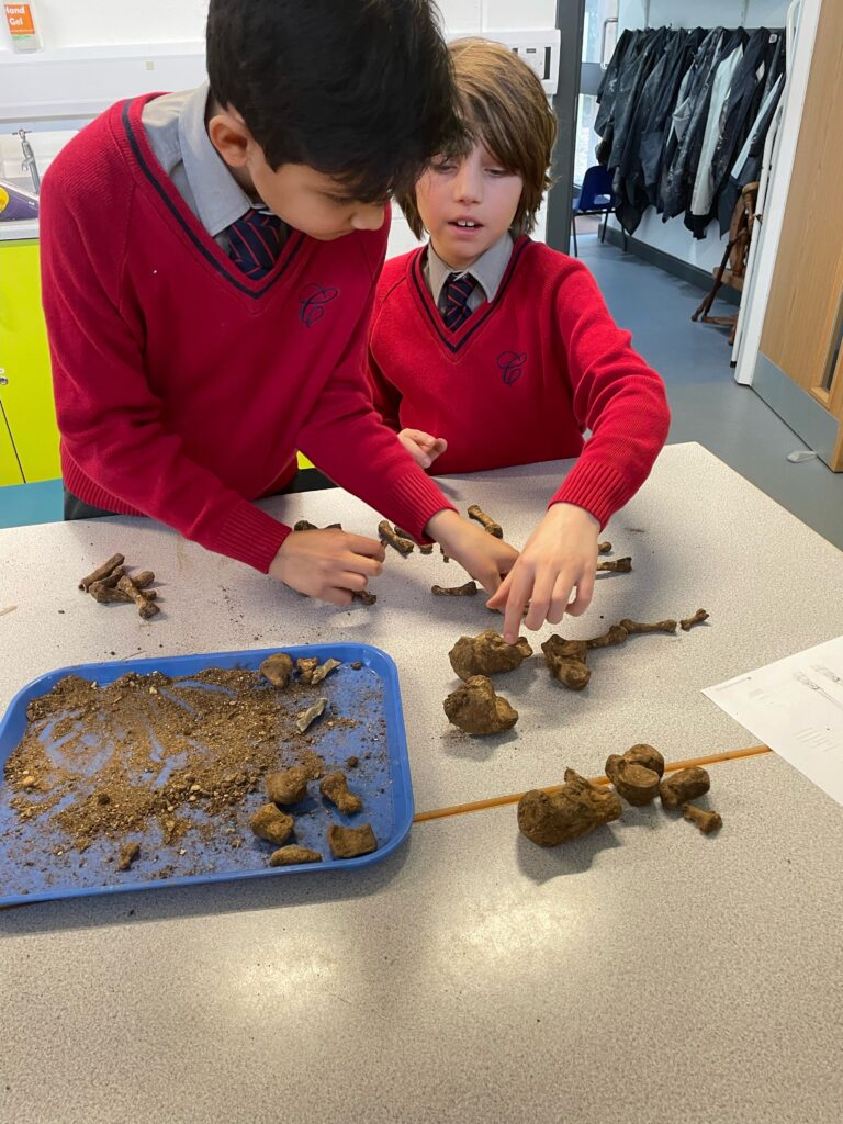 The Copthill Bones!, Copthill School