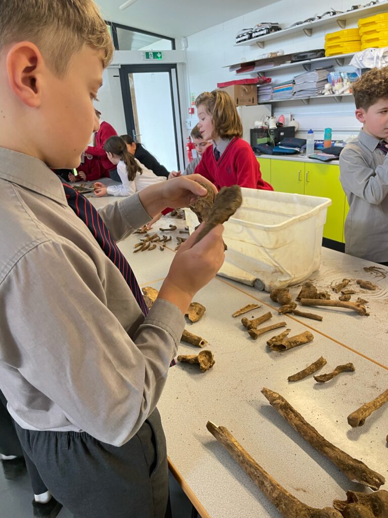 The Copthill Bones!, Copthill School