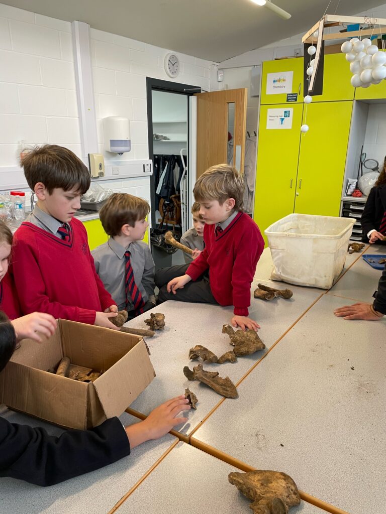 The Copthill Bones!, Copthill School