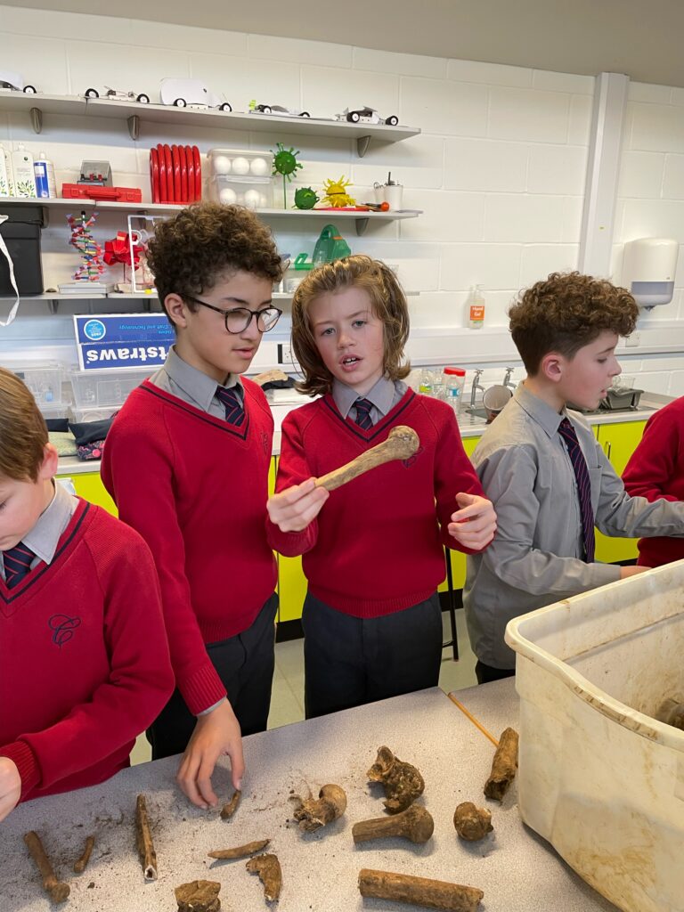 The Copthill Bones!, Copthill School