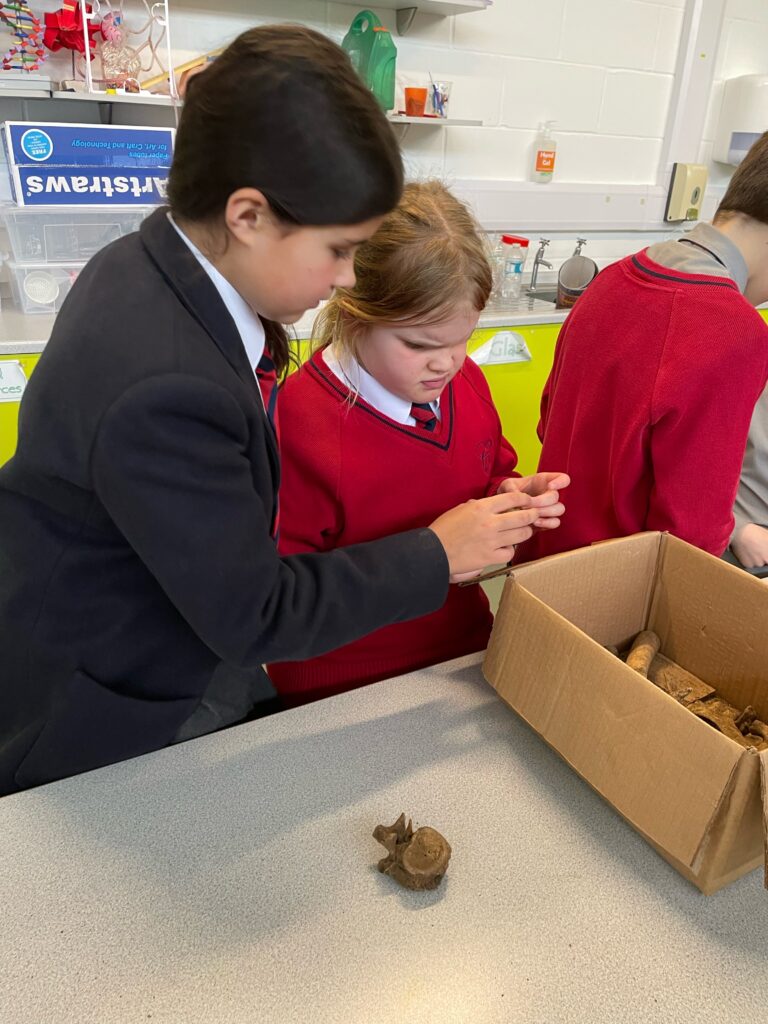 The Copthill Bones!, Copthill School