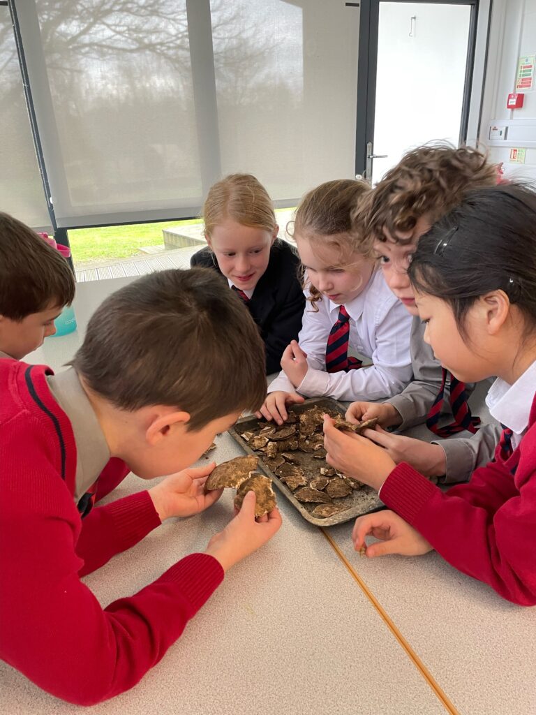 The Copthill Bones!, Copthill School